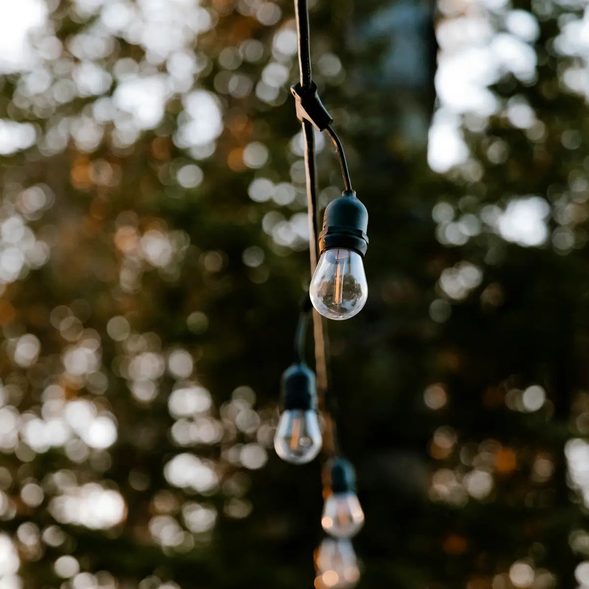 A close-up of string lights hanging outdoors, with individual bulbs visible against a blurred background of trees. The focus is on a few clear bulbs with black sockets, creating a warm and inviting ambiance. The background is softly lit with bokeh effects from the evening light.