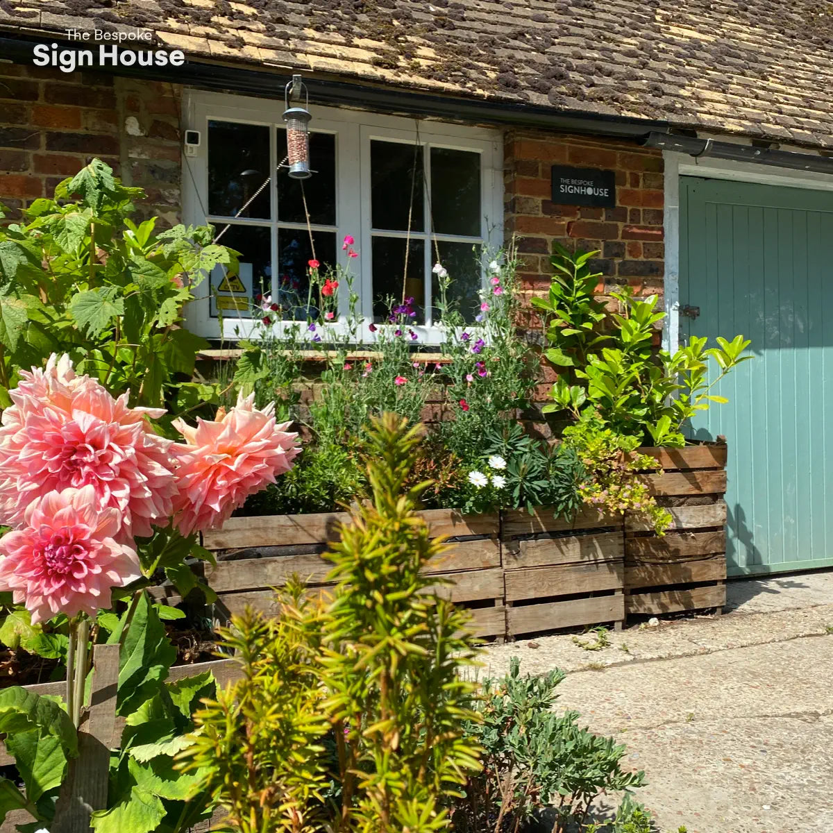 summer flowers and plants at our workshop